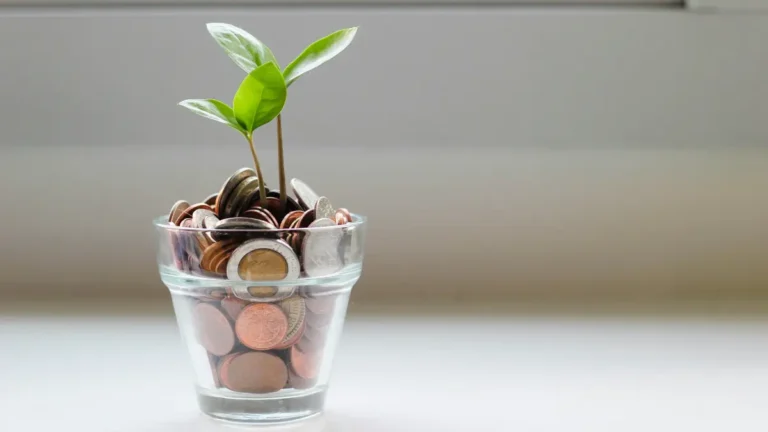 Save $1K Fast concept showing money growth with plant growing from coins