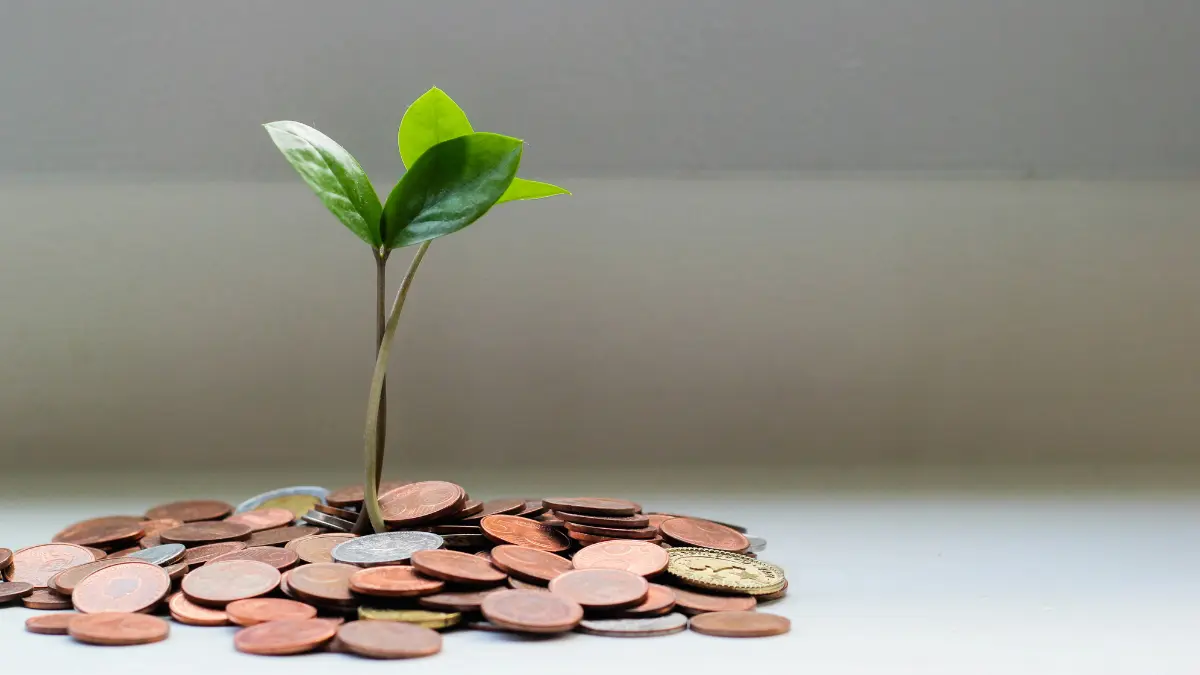 APR impact on loan costs shown as financial growth from coins