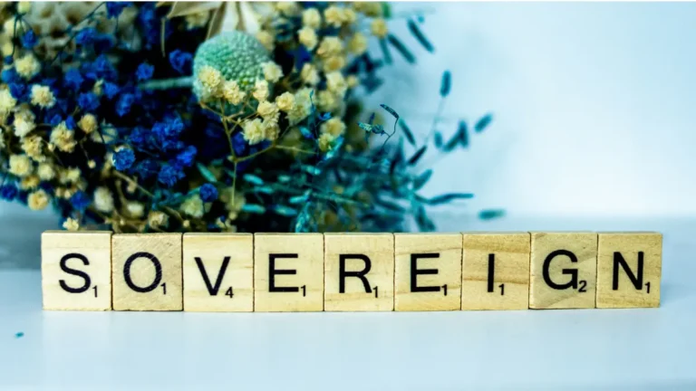 sovereign wealth fund concept shown with letter blocks spelling sovereign symbolizing state-owned investment power